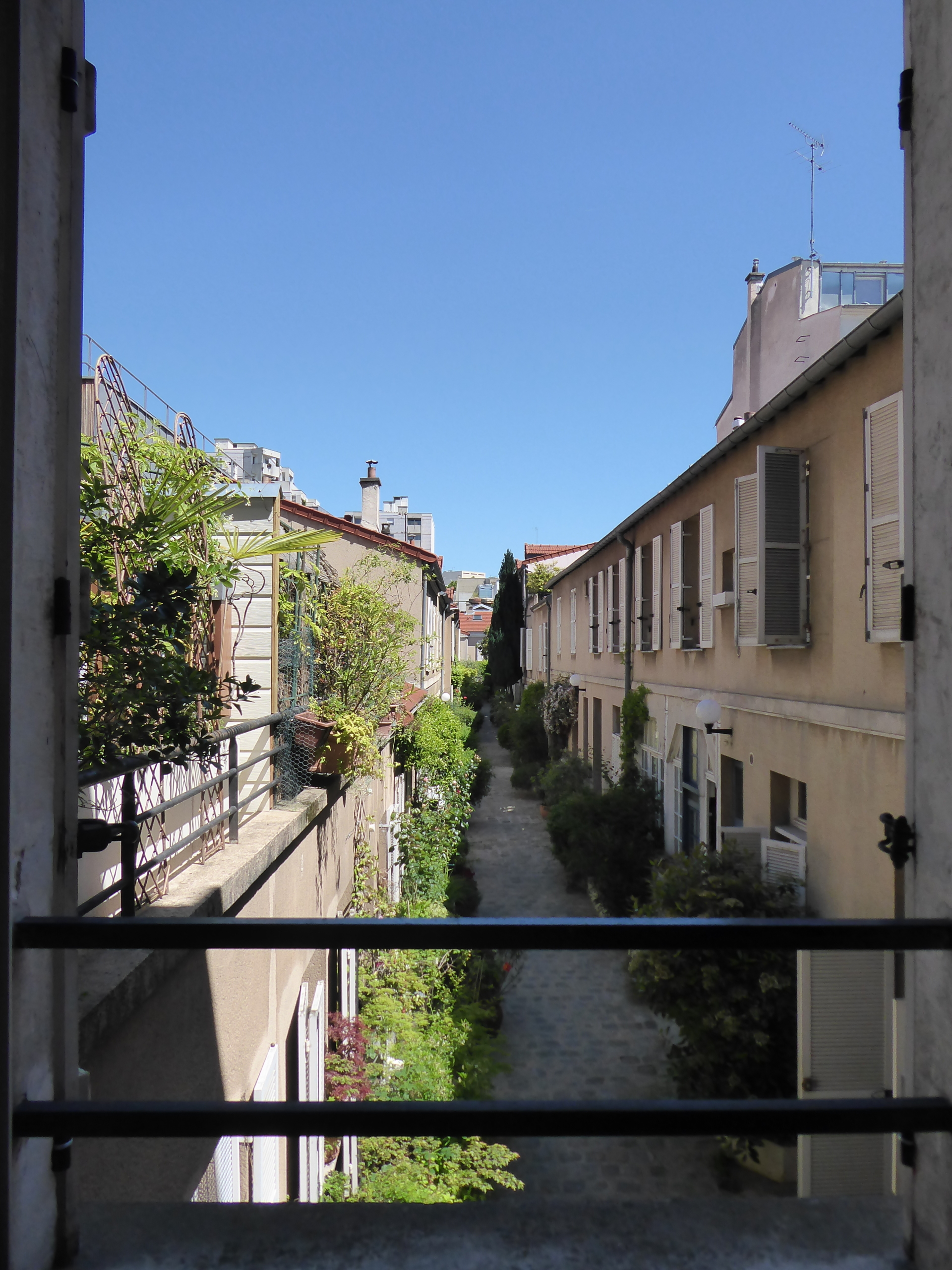 vue (2)