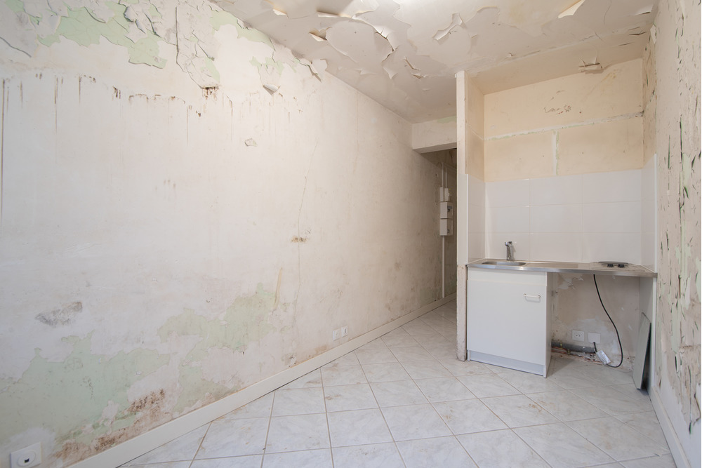 1-chambre