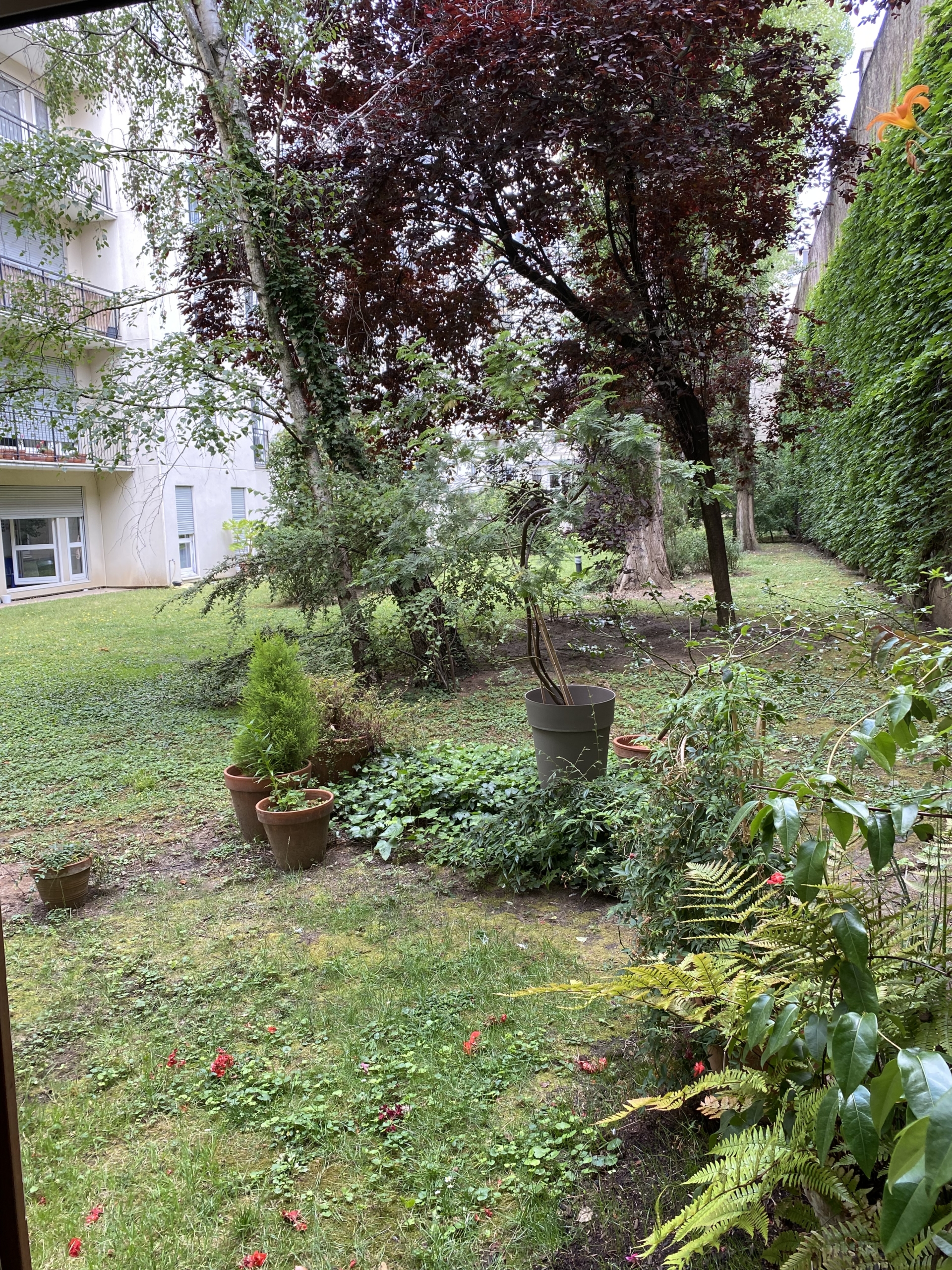 IMG-3486