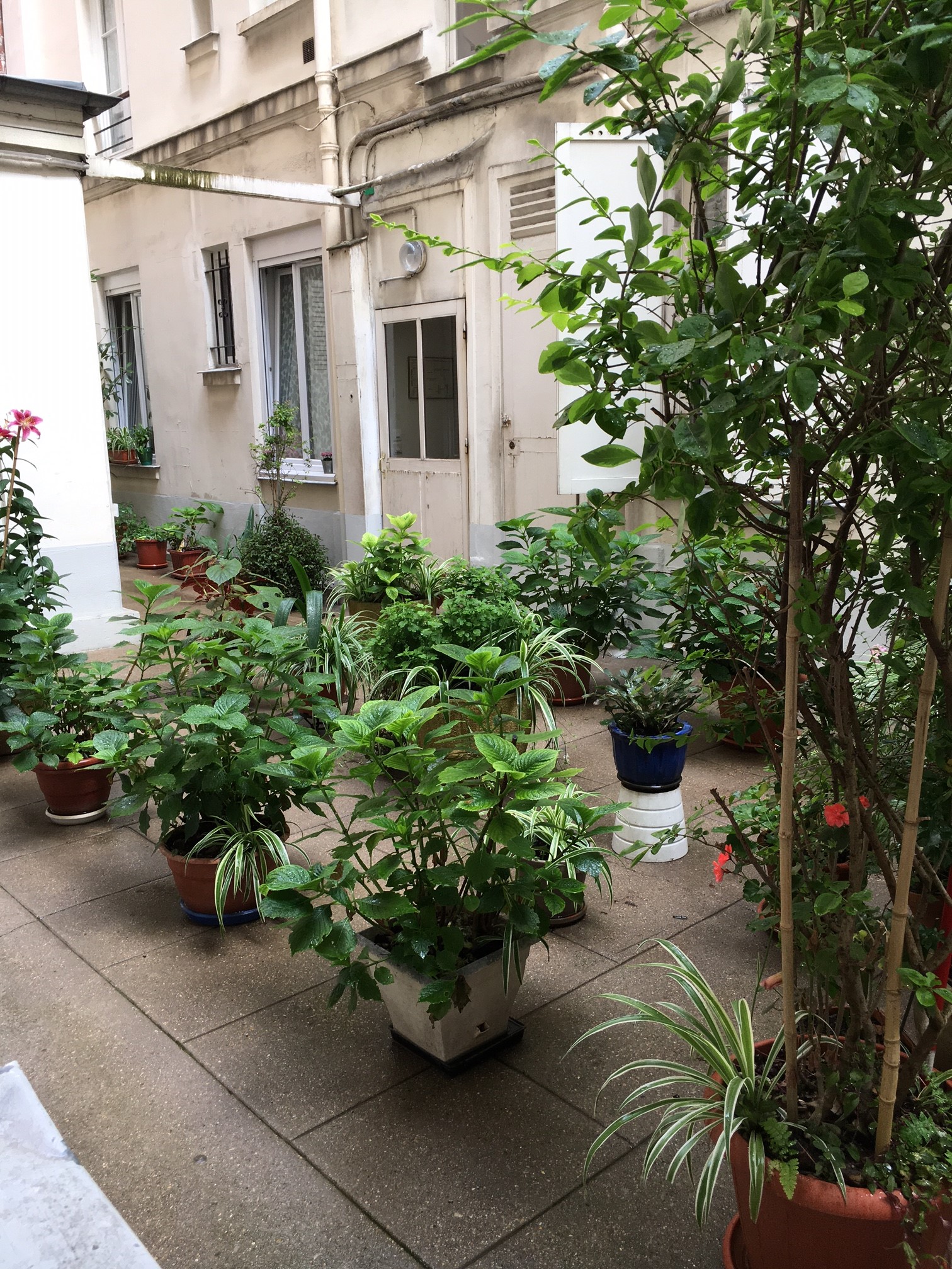 cour intérieure
